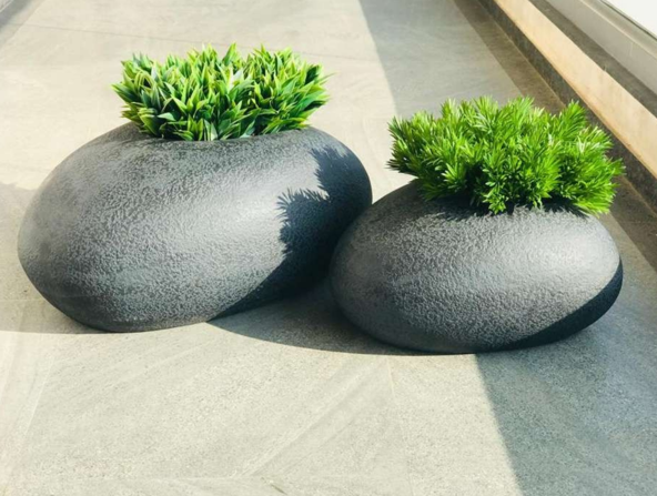 Planters feature by Shivaay