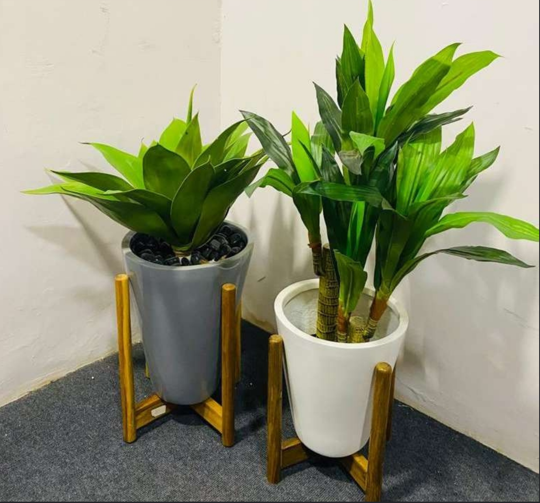 Modern planter design